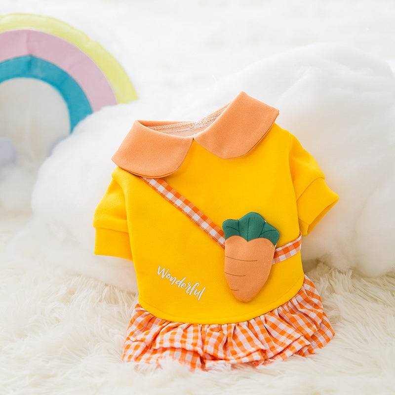 Cute Pet Clothes for All Seasons