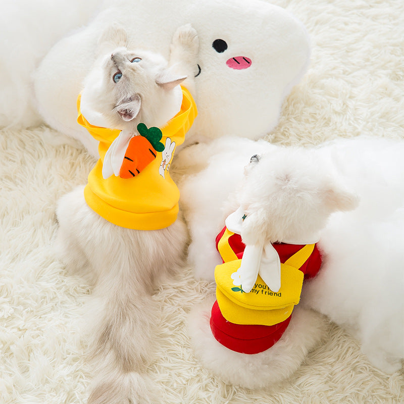 Cute Pet Clothes for All Seasons