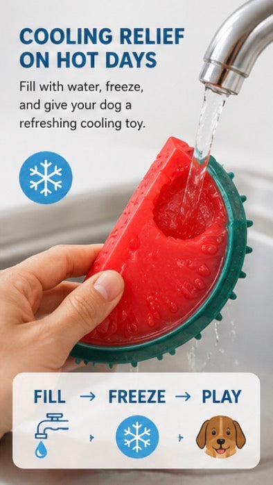 Pet Fruit Cooling Chew Toy