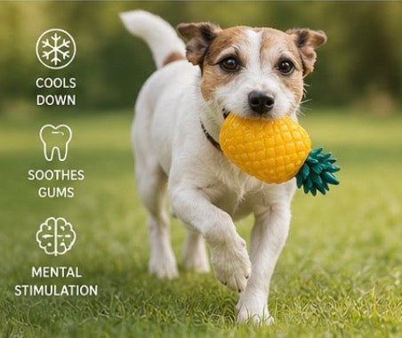 Pet Fruit Cooling Chew Toy