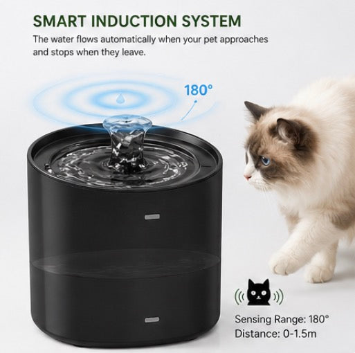Pet Water Dispenser