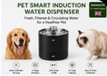 Pet Water Dispenser