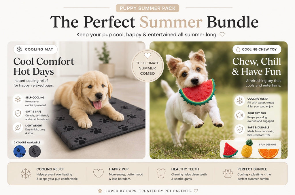 SUMMER PUPPY PACK