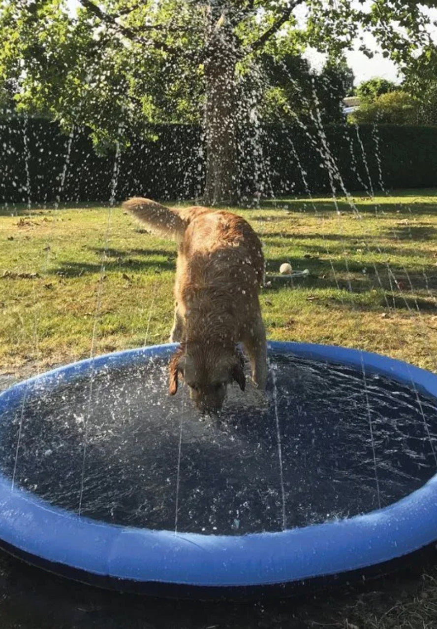 Summer Pet Swimming Pool
