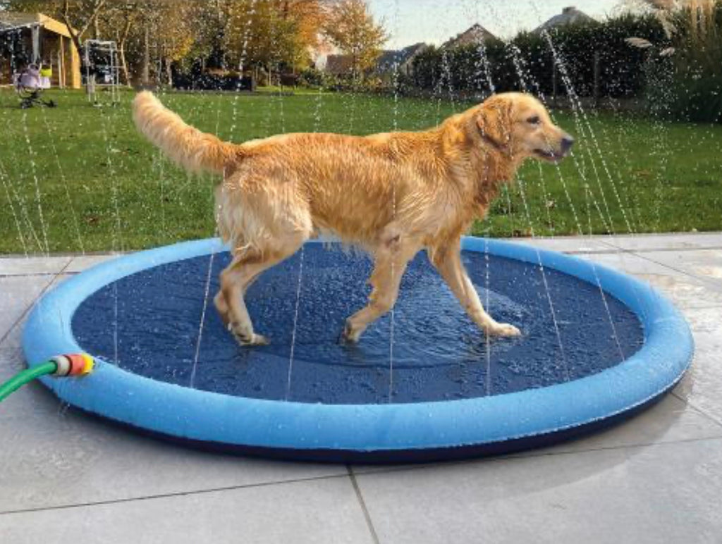 Summer Pet Swimming Pool