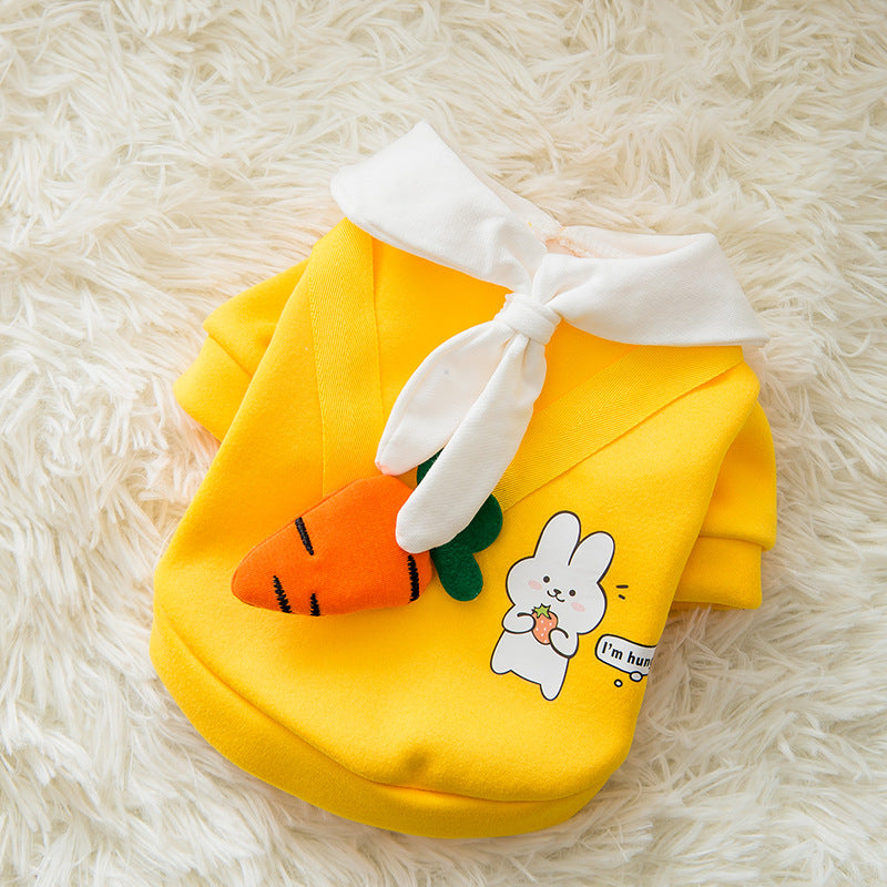 Cute Pet Clothes for All Seasons