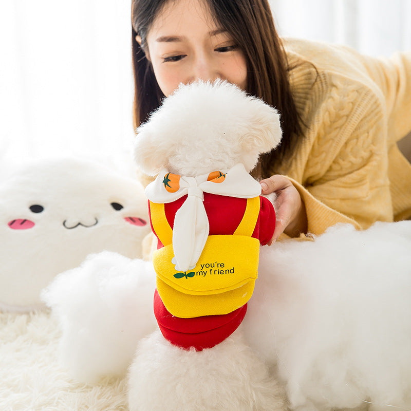 Cute Pet Clothes for All Seasons